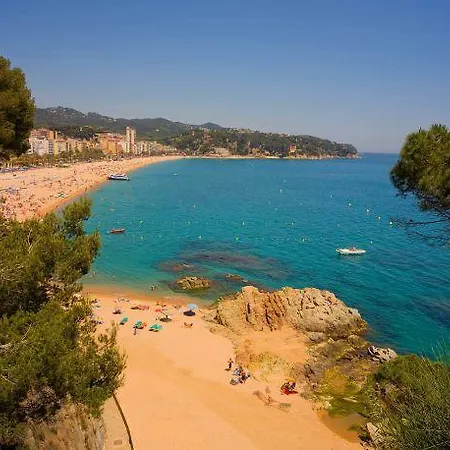 Apartamento Apartamento Con Piscina - Los Sauces Lloret de Mar